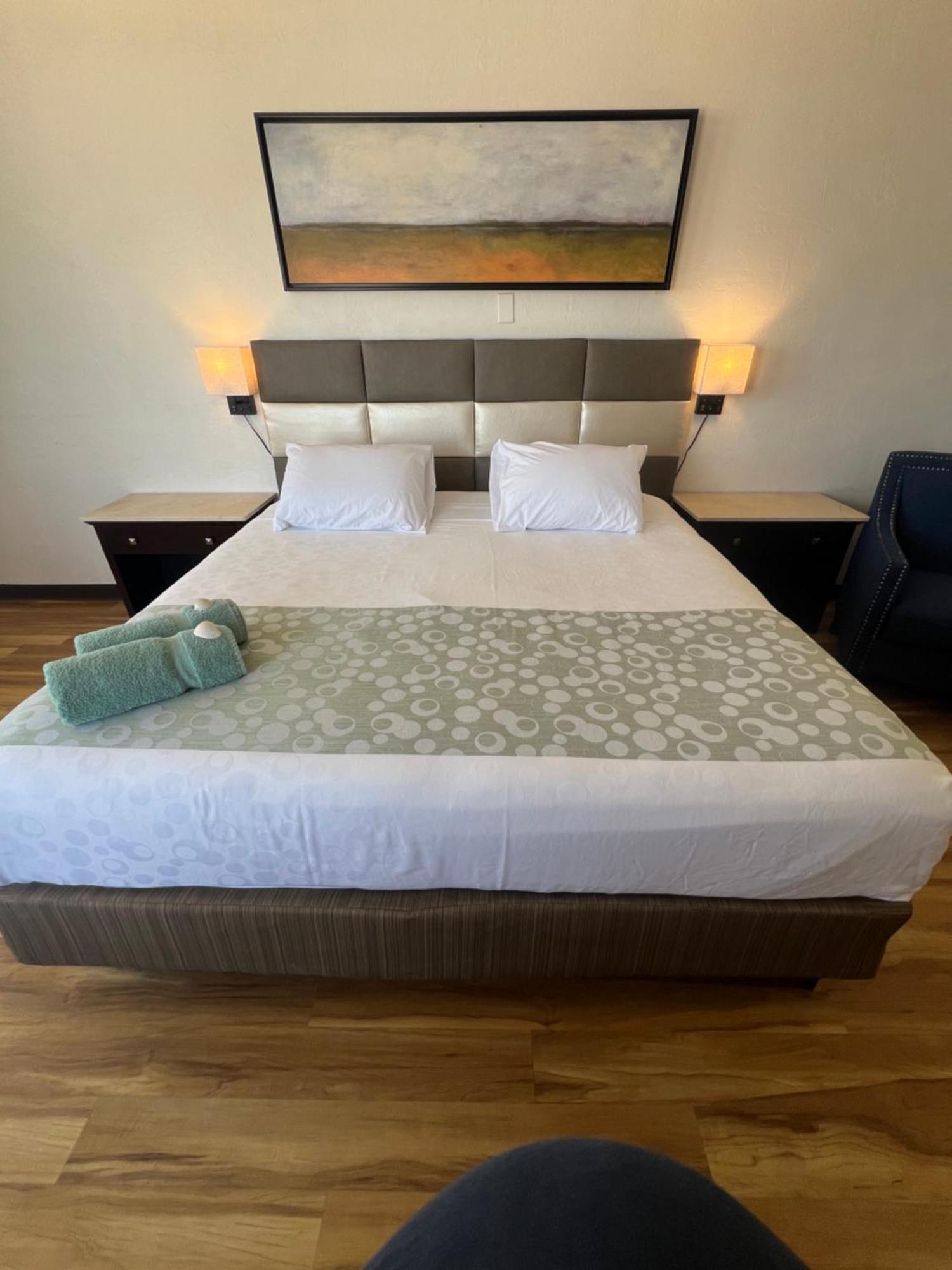 Flamingo Inn Beachfront - Дейтона-Бич Экстерьер фото