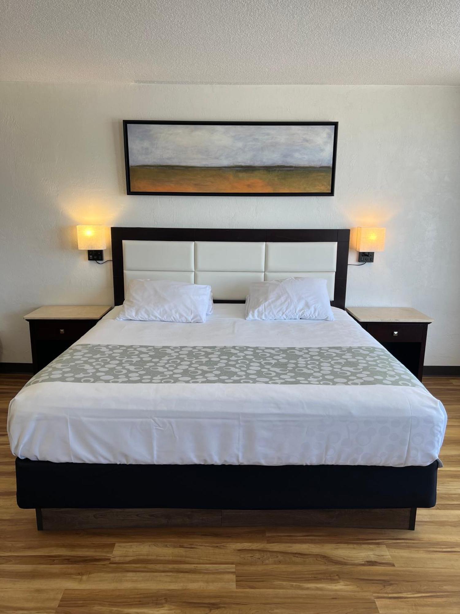 Flamingo Inn Beachfront - Дейтона-Бич Экстерьер фото