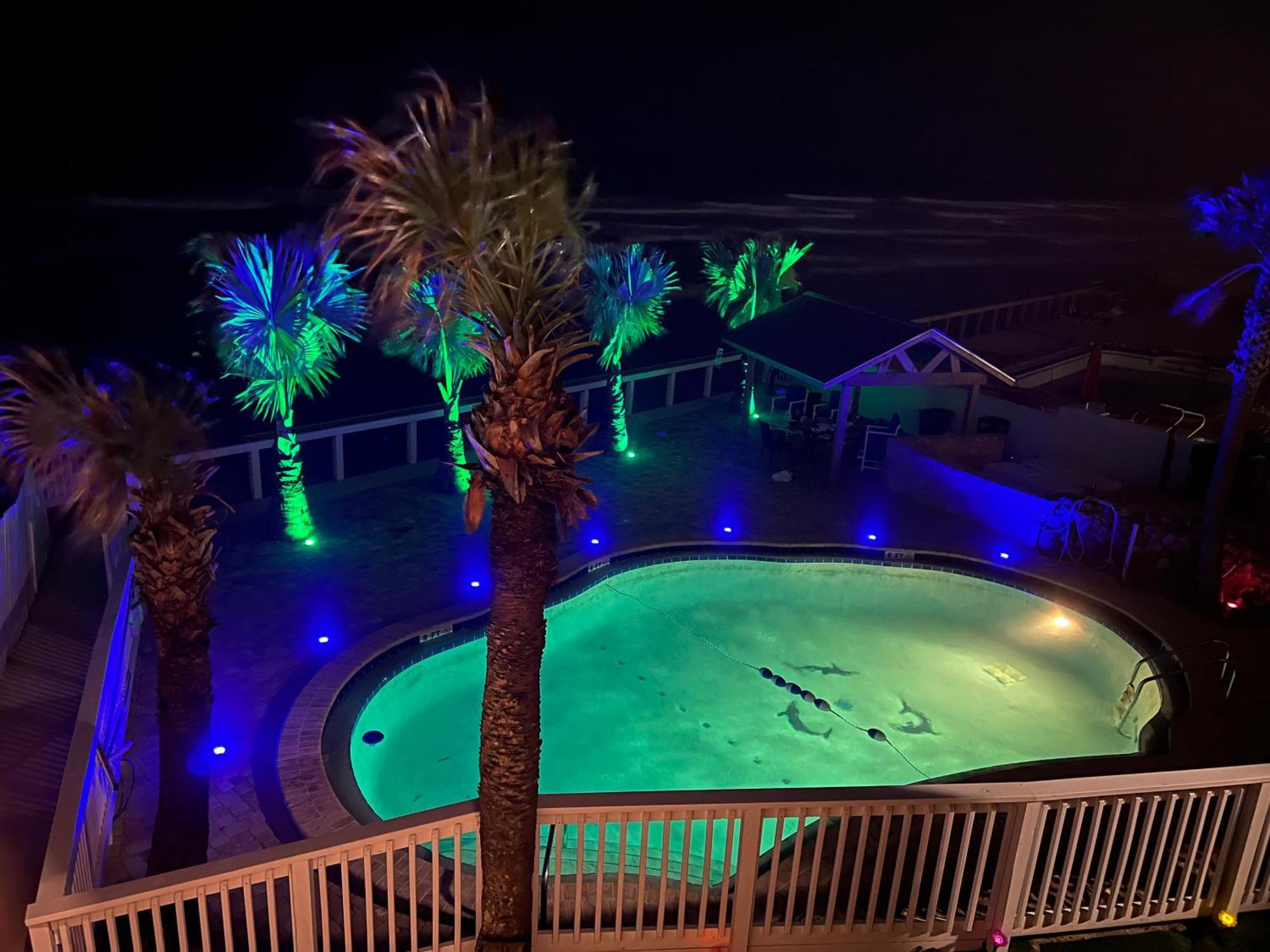Flamingo Inn Beachfront - Дейтона-Бич Экстерьер фото