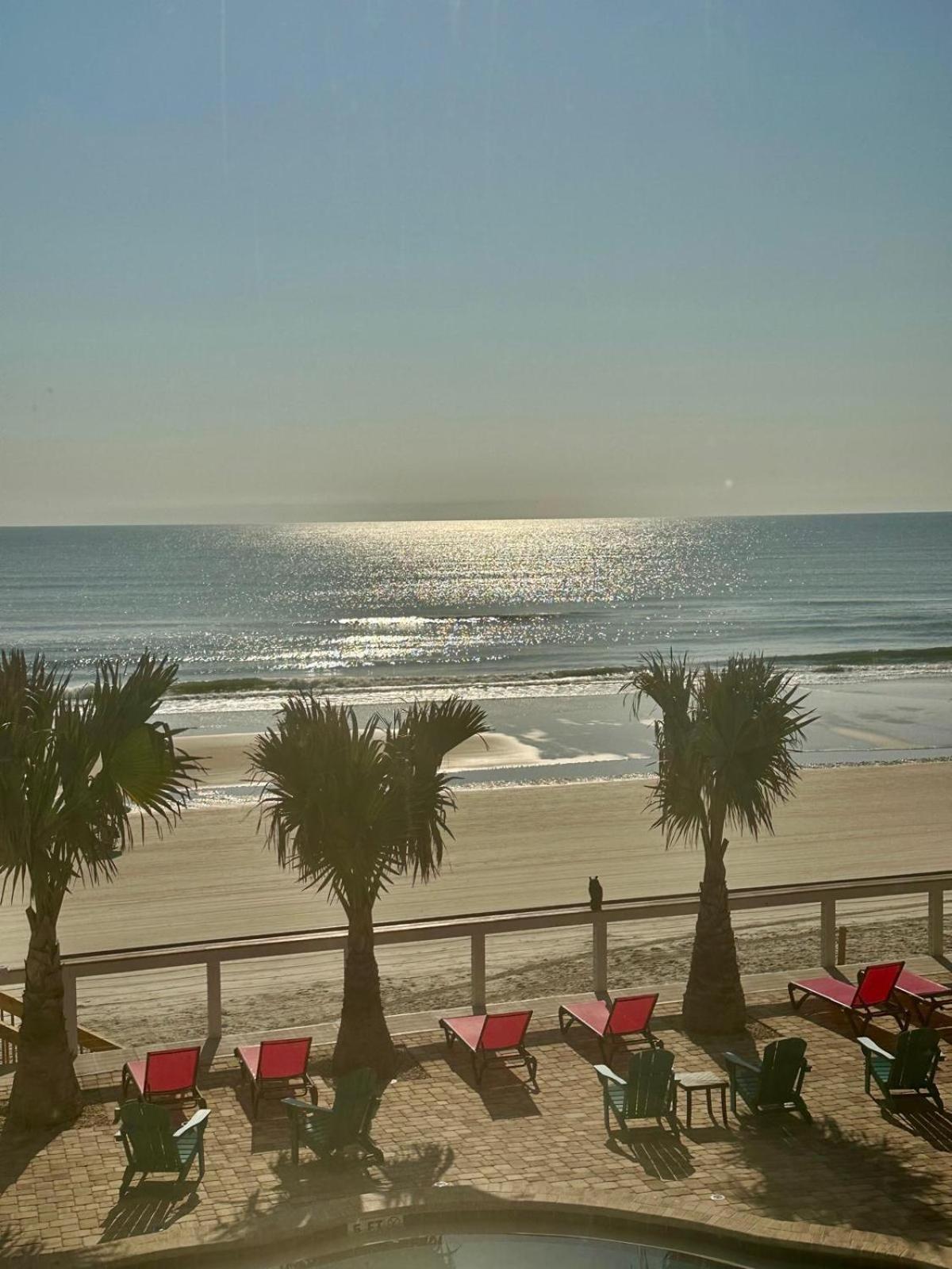 Flamingo Inn Beachfront - Дейтона-Бич Экстерьер фото
