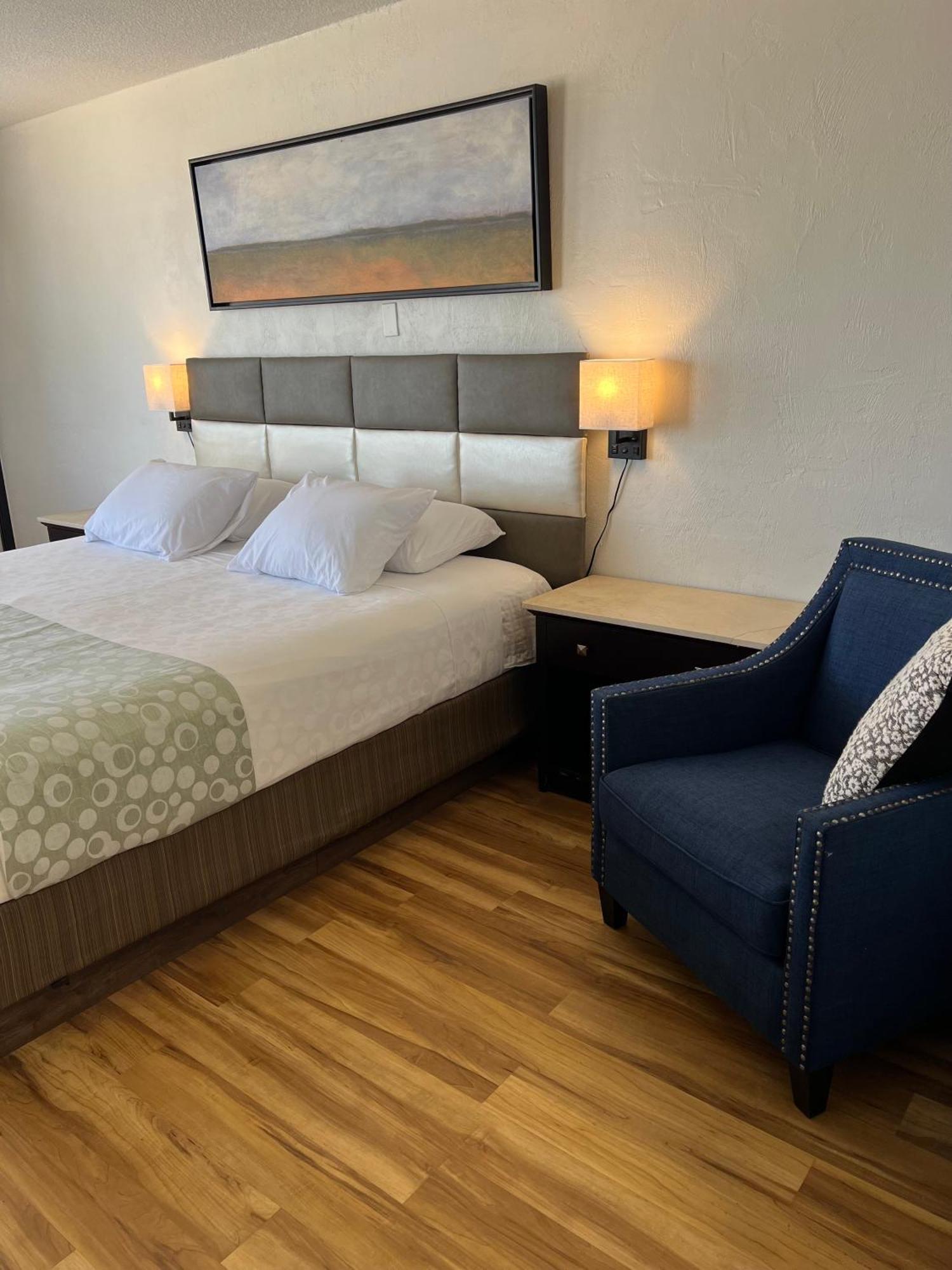 Flamingo Inn Beachfront - Дейтона-Бич Экстерьер фото