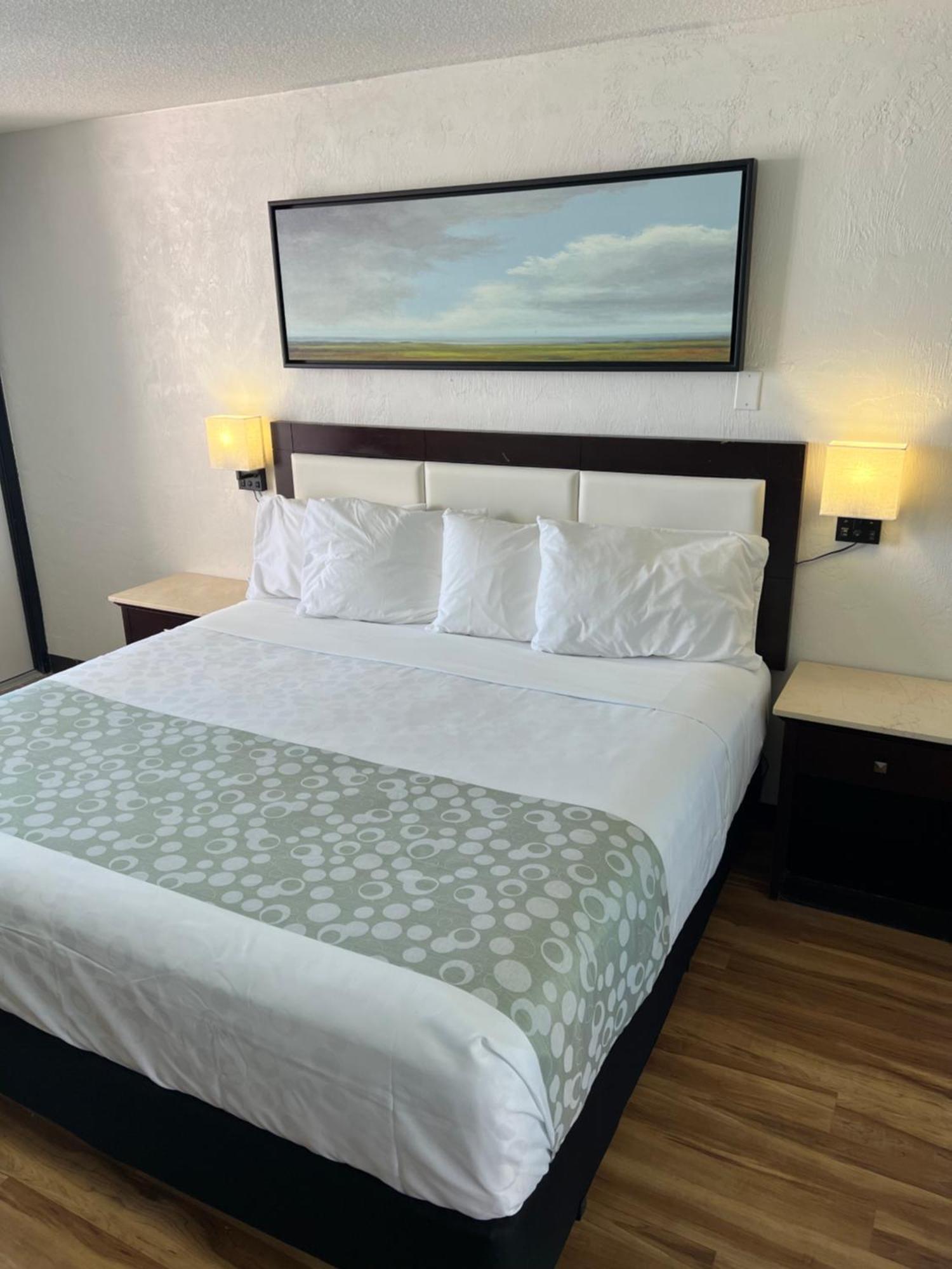Flamingo Inn Beachfront - Дейтона-Бич Экстерьер фото